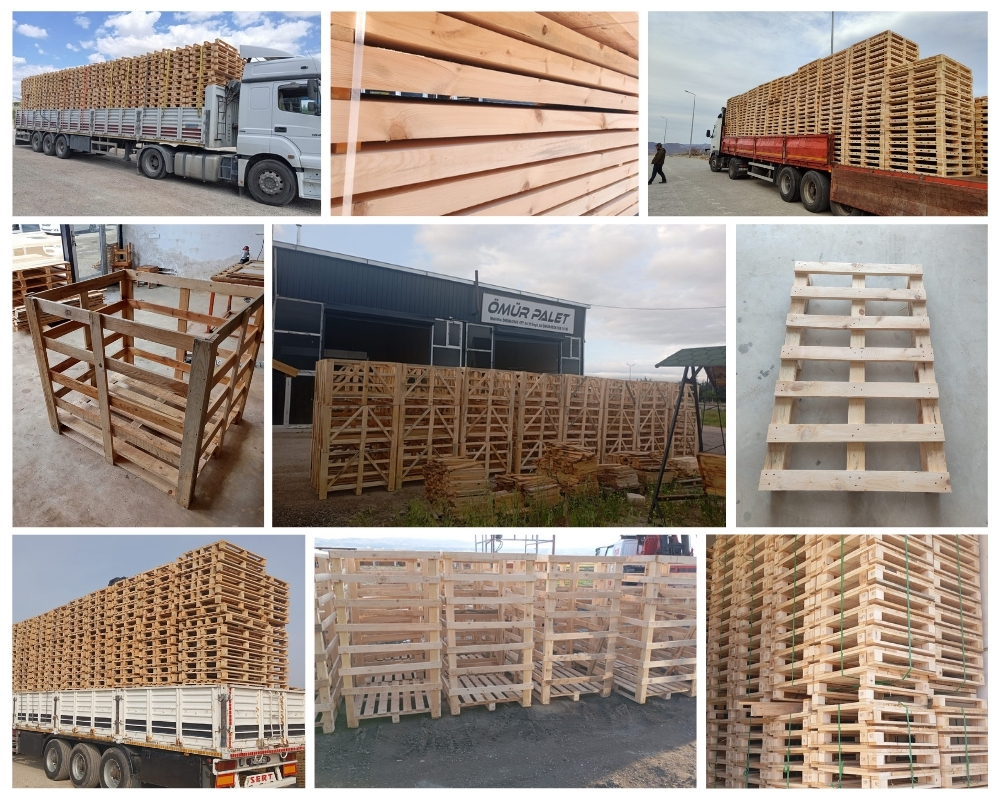 Le Plessis-Robinson Palette Europe, Acheter des palettes en gros